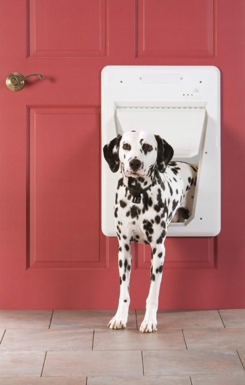 Inteligentne Drzwi Dla Psa Selektywne Wejście PetSafe 44 x 60 cm biały NOWE
