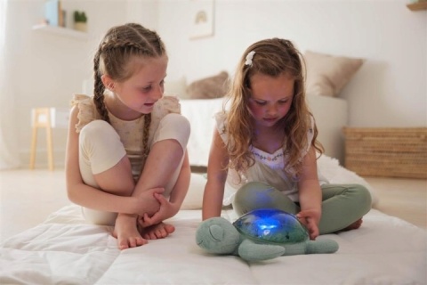 Lampka i pozytywka 2w1 Żółw podwodny zielony Powystawowy
